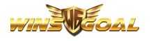 vs-logo-img
